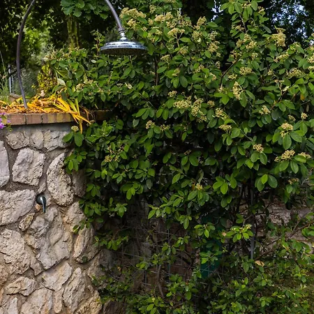 Privata Con Giardino E Piscina